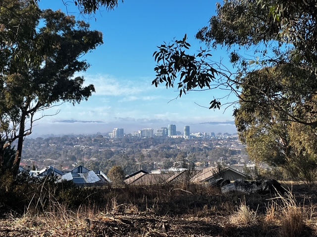 25Metro view